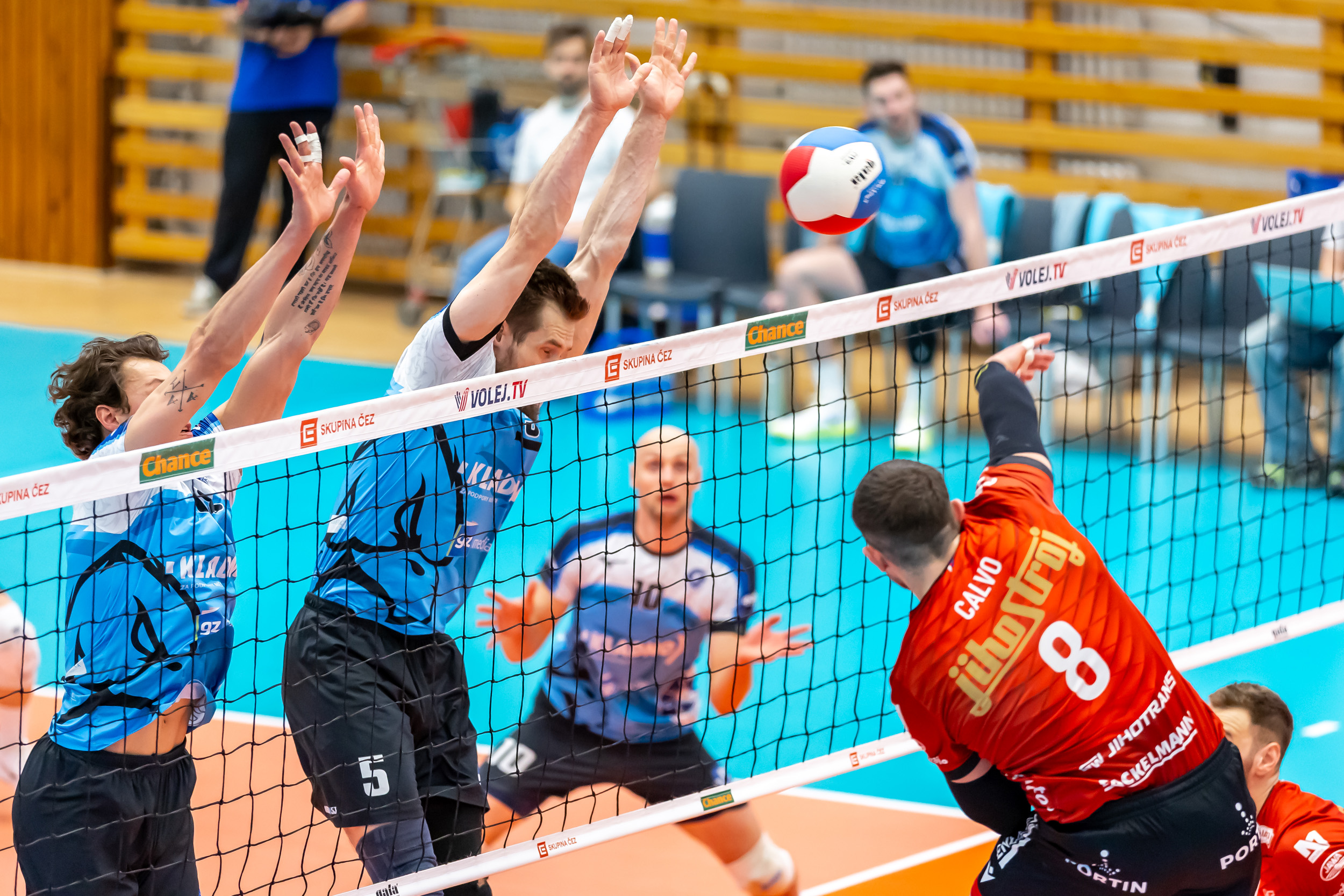 Orli odlétají na jih k bitvě o přežití. Rozhodne týmovost a odvaha!