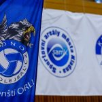 Evropský unikát z Kladenska hledá jméno. Kladno volejbal cz pomůže pojmenovat vzácnou orlí slečnu